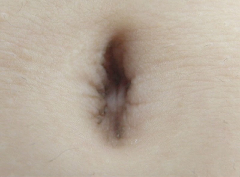 サンプル画像 8