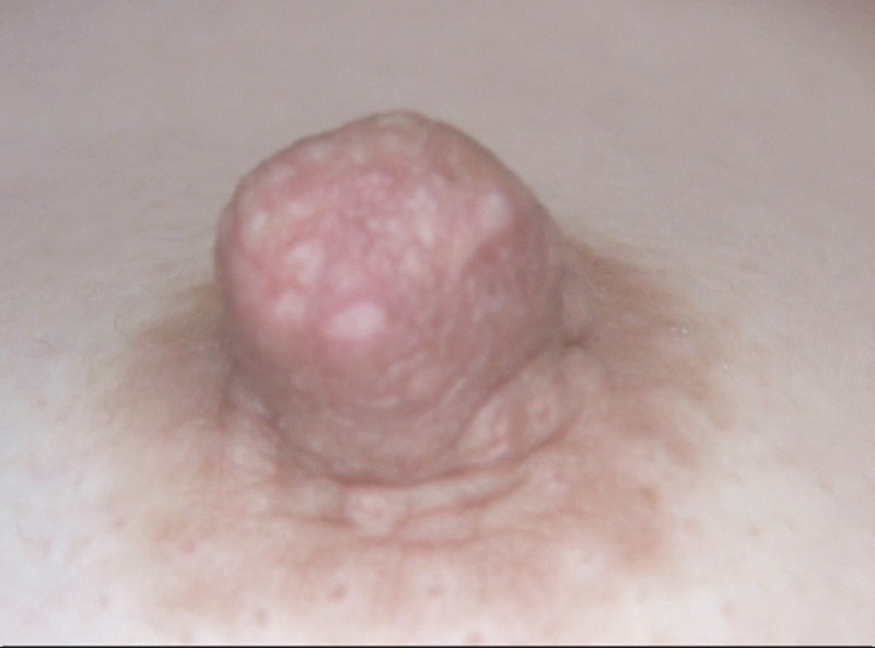 サンプル画像 11