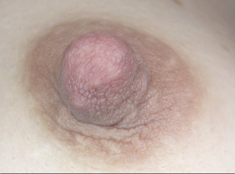 サンプル画像 13