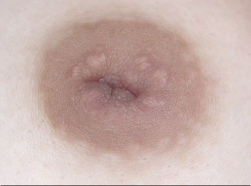 サンプル画像 14