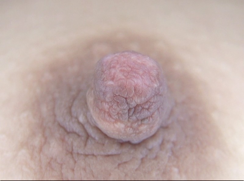 サンプル画像 15