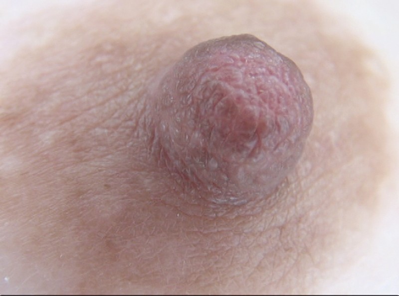 サンプル画像 16