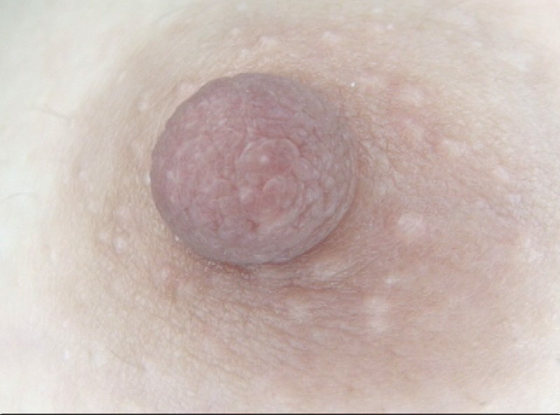 サンプル画像 18