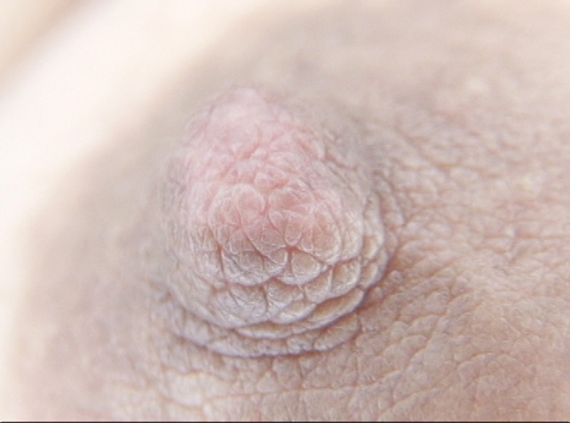 サンプル画像 20