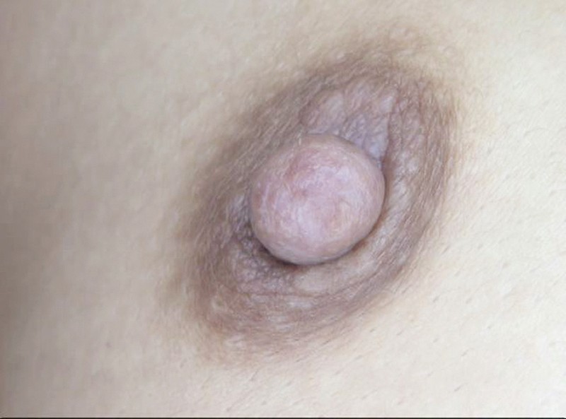 サンプル画像 7