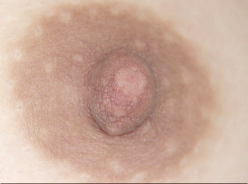 サンプル画像 8