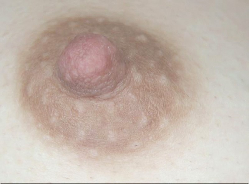 サンプル画像 9