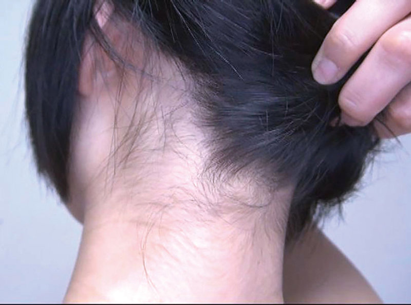 サンプル画像 12