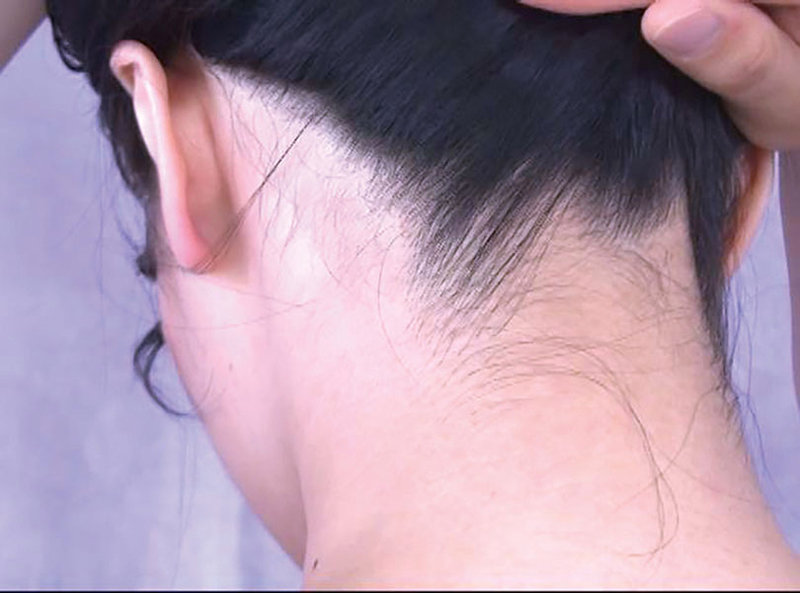 サンプル画像 16