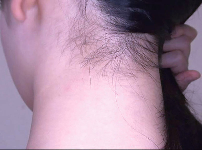サンプル画像 18