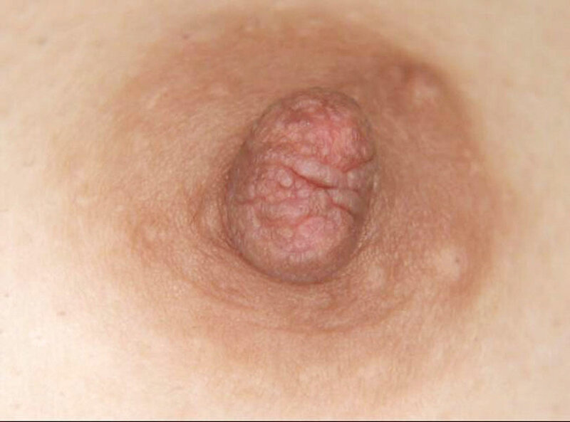 サンプル画像 13