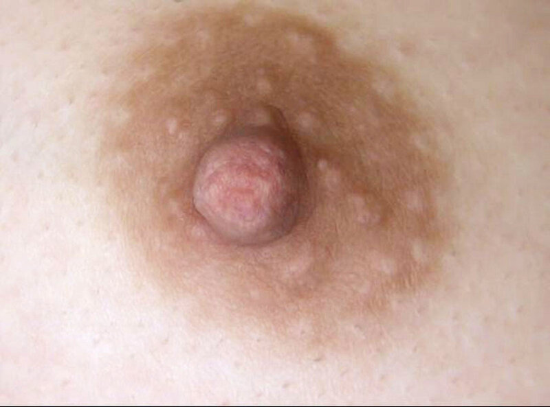 サンプル画像 15