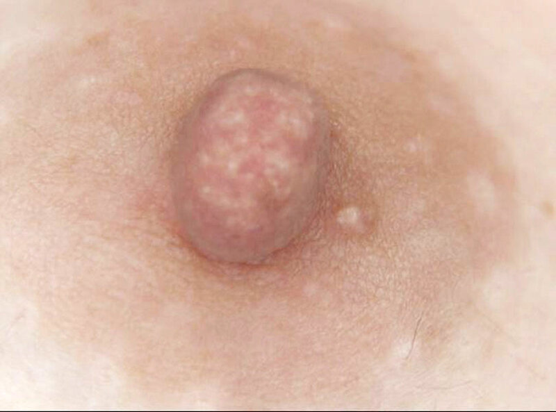 サンプル画像 6