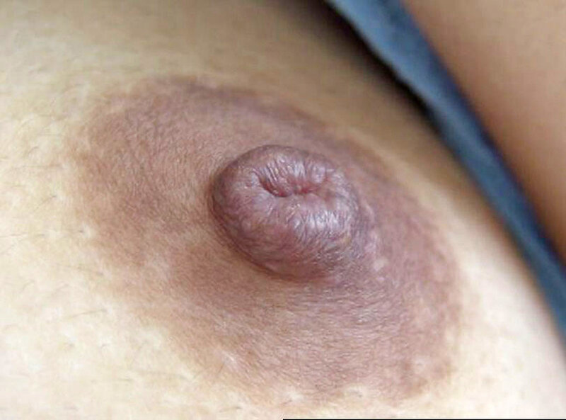 サンプル画像 8