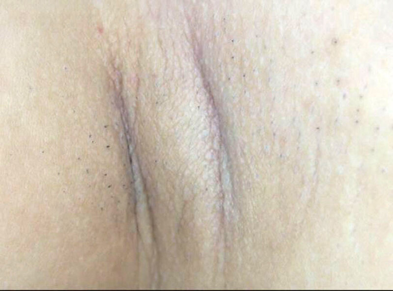 サンプル画像 11