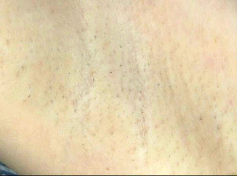 サンプル画像 13