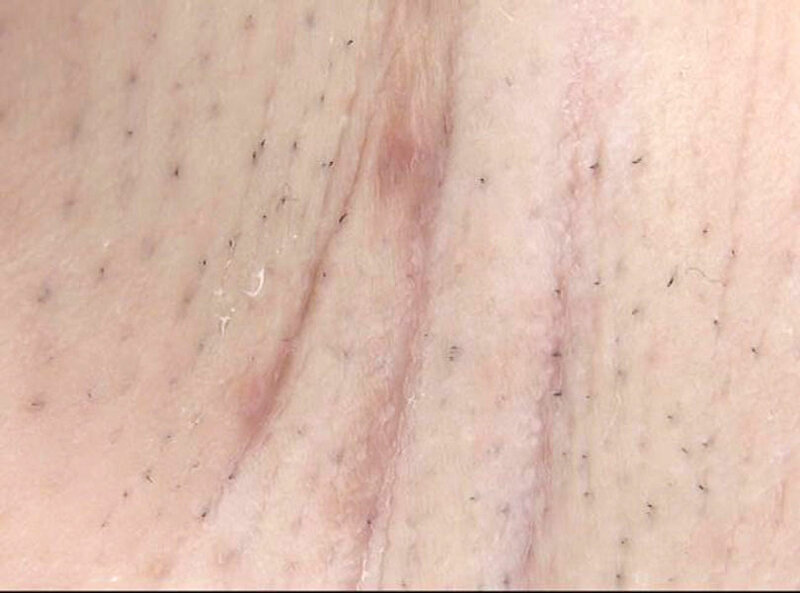 サンプル画像 14