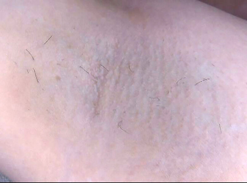 サンプル画像 16