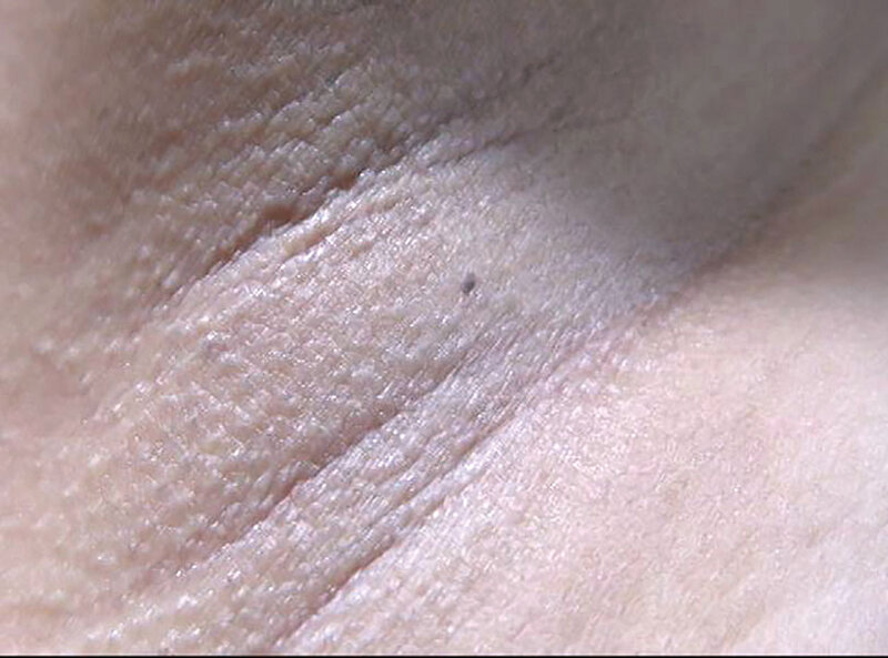 サンプル画像 18