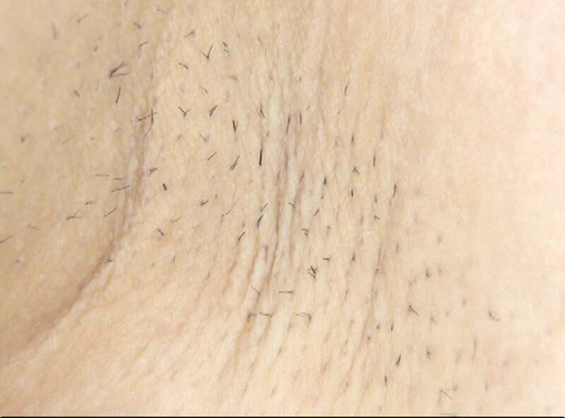 サンプル画像 4