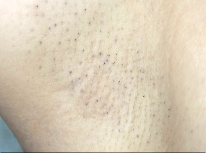 サンプル画像 6