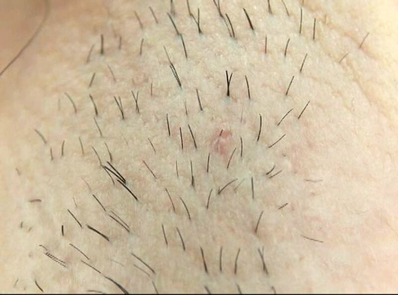 サンプル画像 7