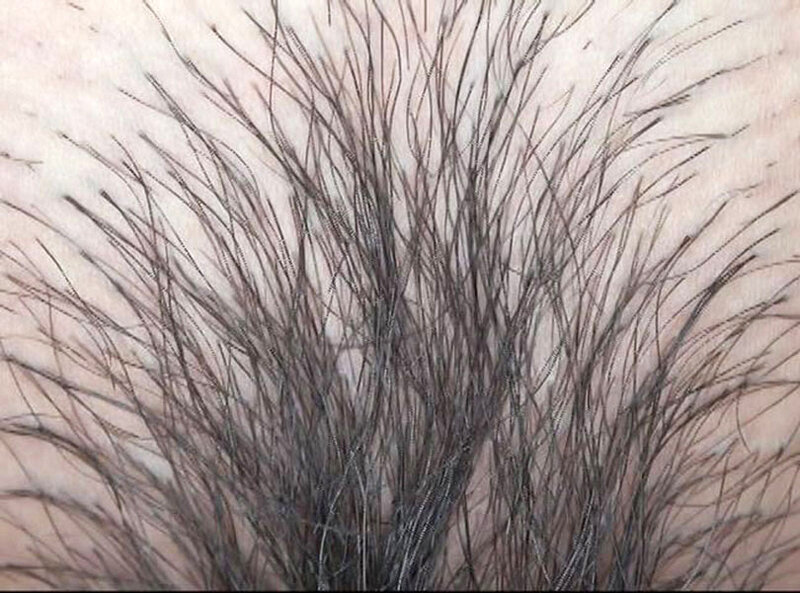 サンプル画像 11