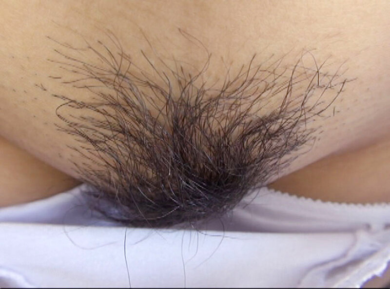 サンプル画像 12