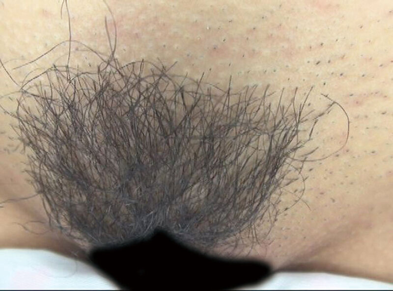 サンプル画像 15