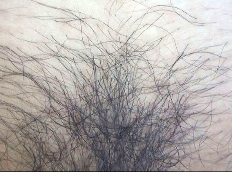 サンプル画像 6