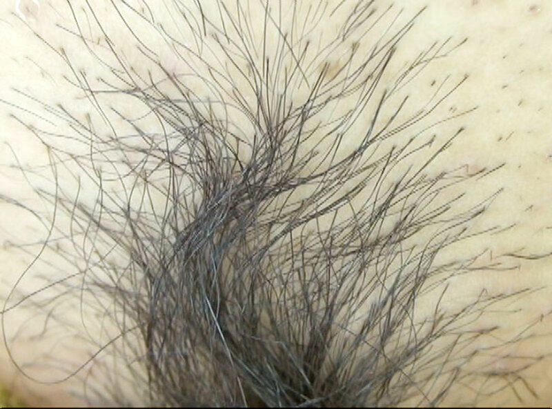 サンプル画像 7