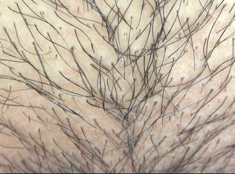 サンプル画像 10