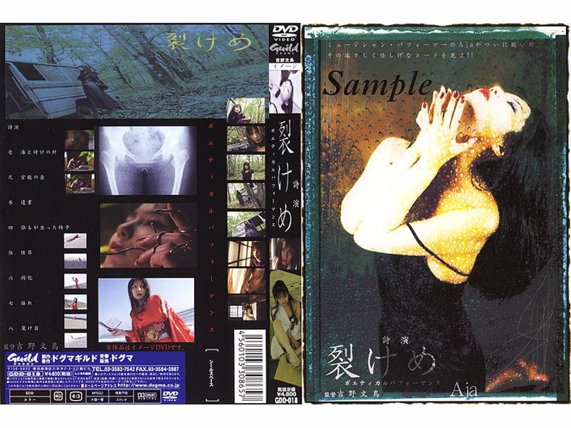 サンプルプレビュー