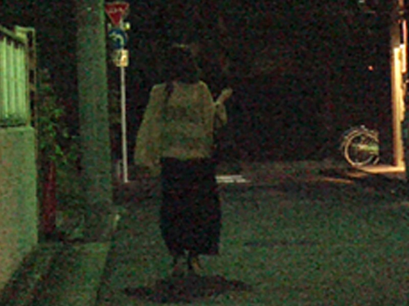 サンプル画像 2