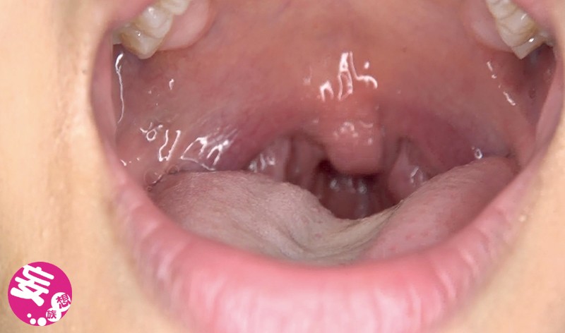 サンプル画像 9