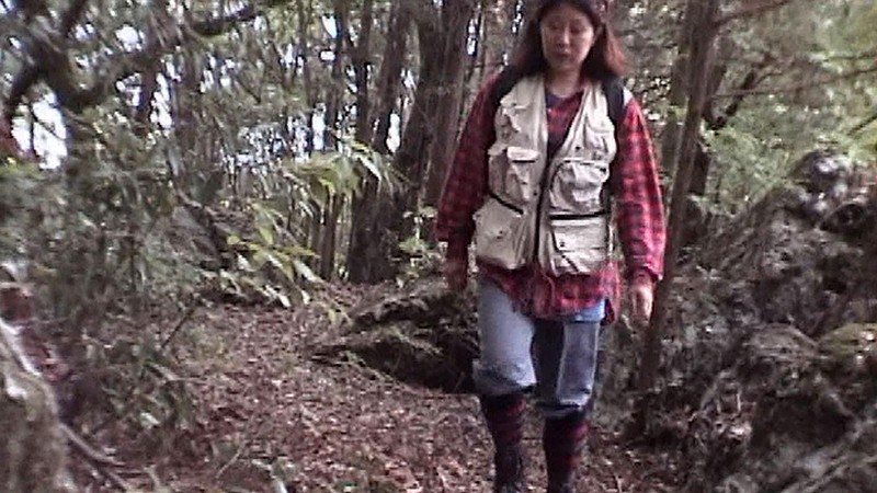 サンプル画像 2