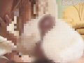 サンプル画像 20