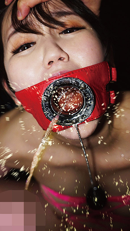 サンプル画像 8