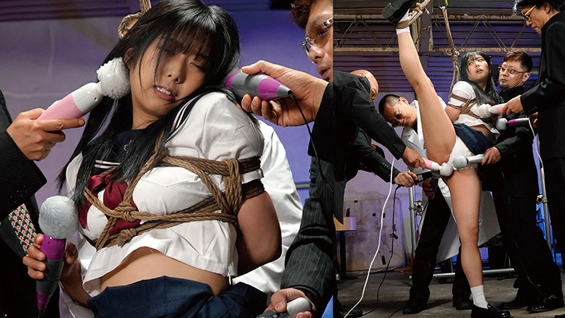 サンプル画像 3