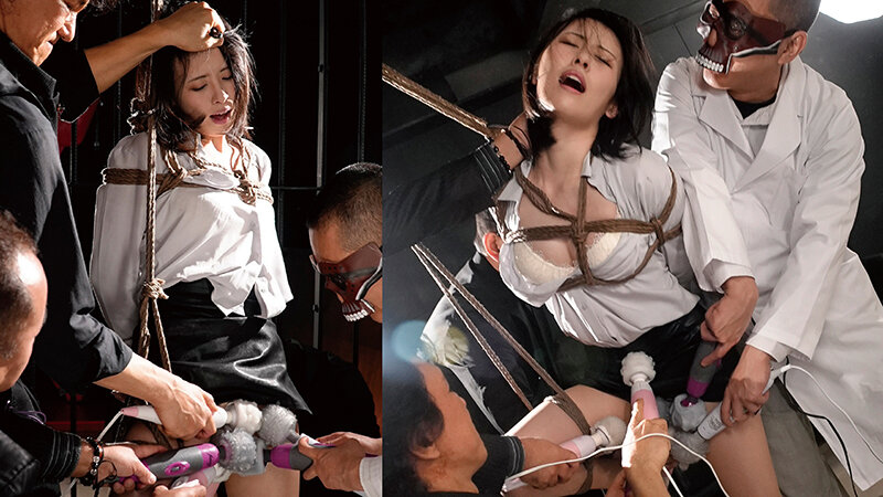 サンプル画像 3