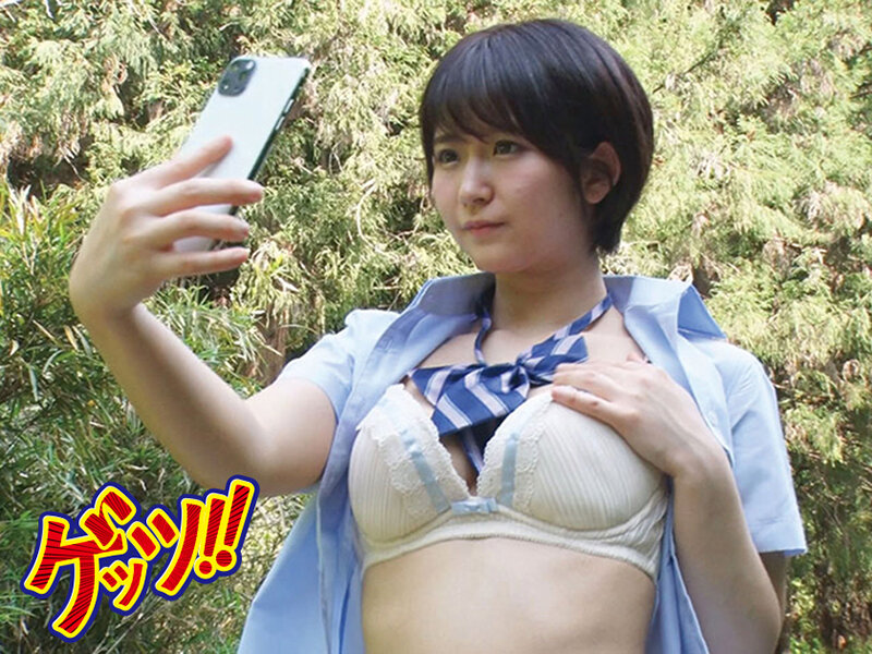 サンプル画像 3