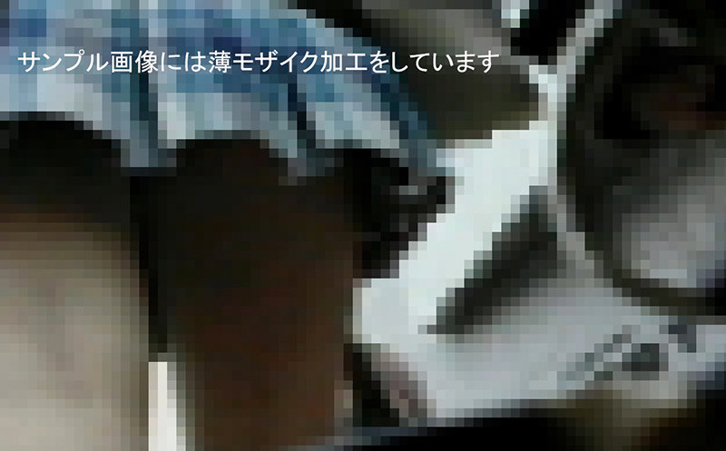 サンプル画像 11