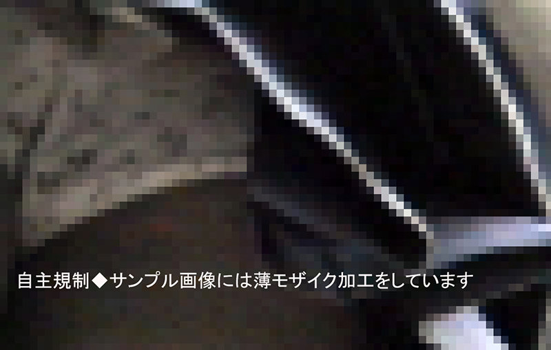 サンプル画像 10