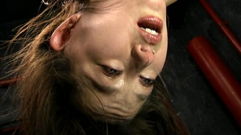 サンプル画像 8