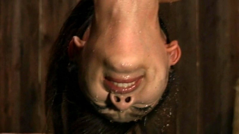 サンプル画像 14