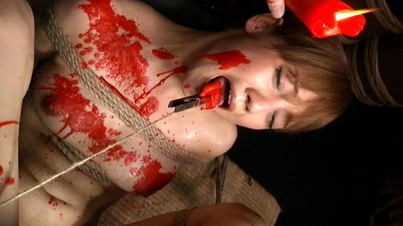 サンプル画像 13