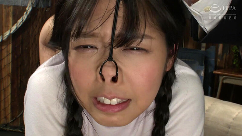 サンプル画像 4
