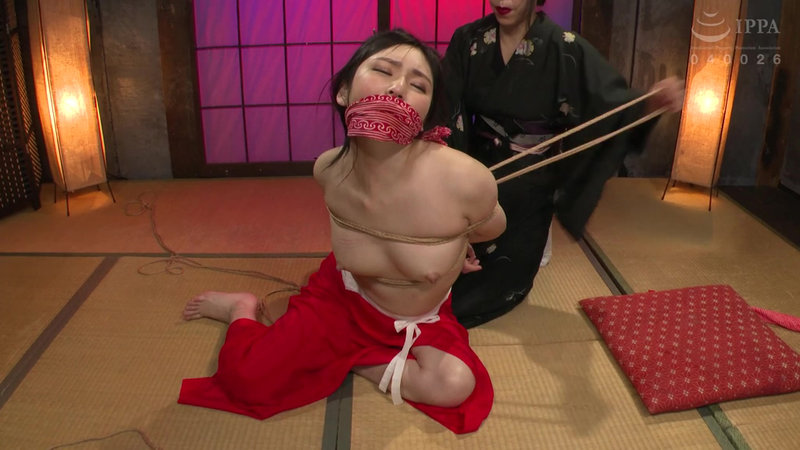 サンプル画像 6