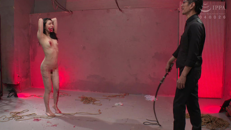 サンプル画像 15