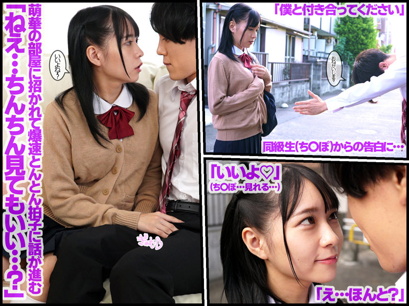 サンプル画像 3